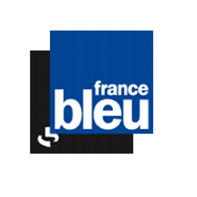 logofrancebleu