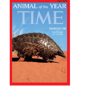 Covid19 télétravail et pangolin